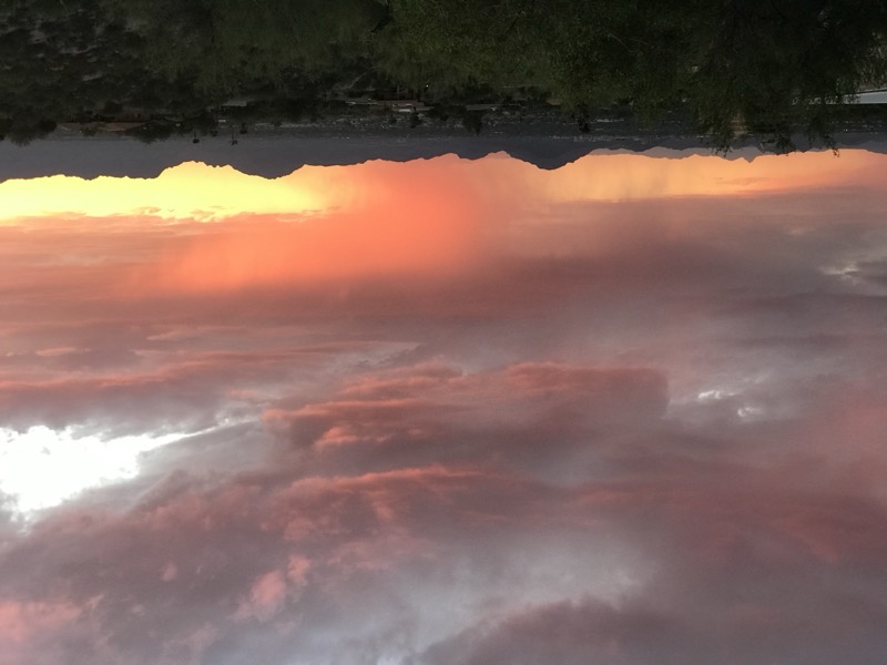 Pink and coral sunset in Tucson